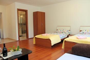 Apartment Minerva